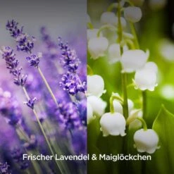 Airwick Raumduft Duftspray, 237 Ml, Geruchsneutralisierend, Lavendel & Maiglöckchen -Angebote HausGlanz Store 0bcfc7788d6365d46cb9ed0ed7beddc3442c879e raumduft airwick duftspray 237 ml