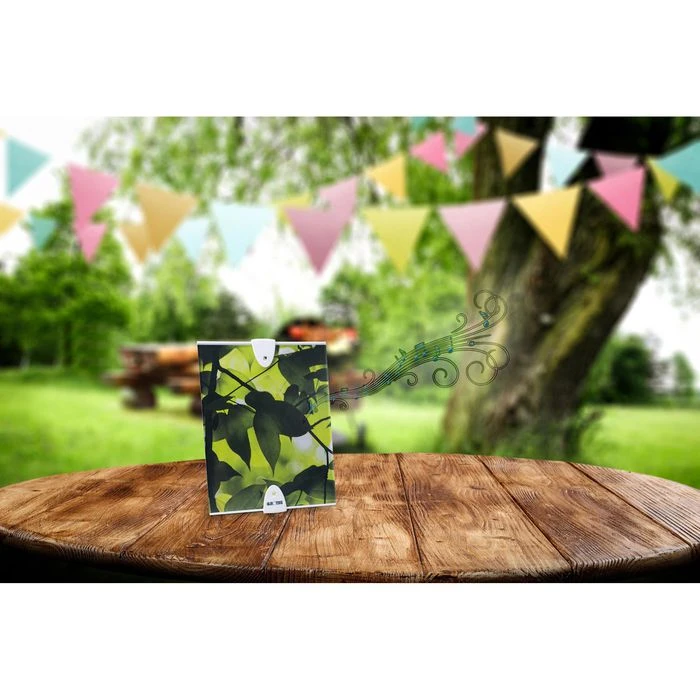 Grothe Funkgong-Empfänger Mistral 600E Ws, Für Funk Set Mistral 600, Weiß 3 Grothe Funkgong-Empfänger Mistral 600E Ws, Für Funk Set Mistral 600, Weiß – Bild 3