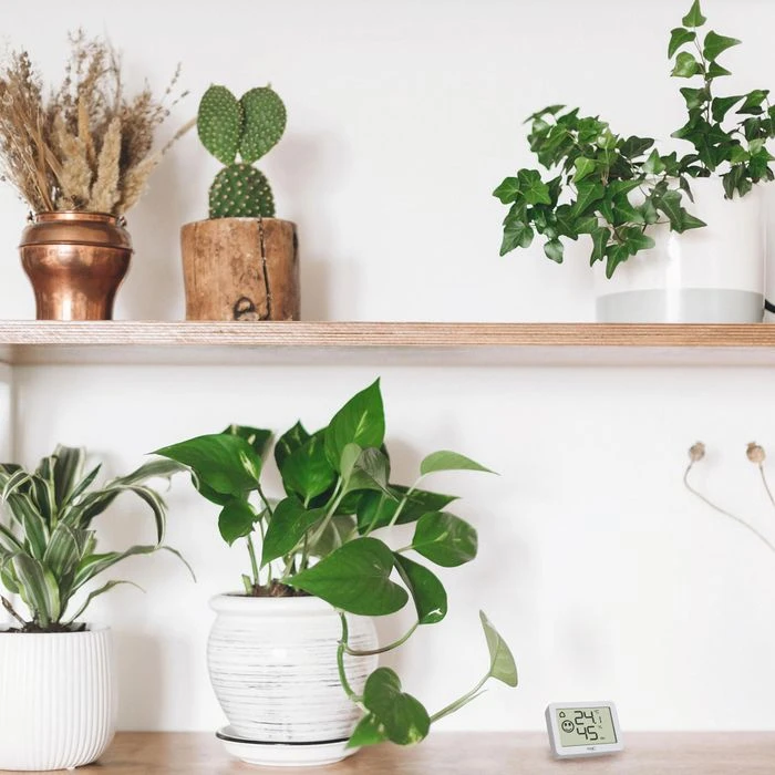 TFA Thermo-Hygrometer 30.5055.02, Innen, Digital, Weiß 4 TFA Thermo-Hygrometer 30.5055.02, Innen, Digital, Weiß – Bild 4