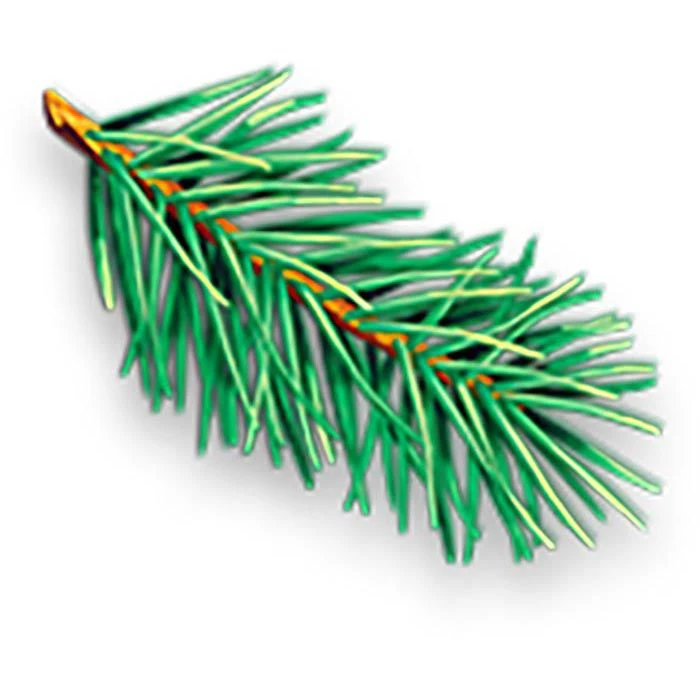 WC-Ente WC-Duftspüler Active 3in1, Waldfrische, Reinigt & Erfrischt, Im Korb 2 WC-Ente WC-Duftspüler Active 3in1, Waldfrische, Reinigt & Erfrischt, Im Korb – Bild 2