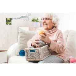 Grothe Funkgong-Empfänger Mistral 600E Ws, Für Funk Set Mistral 600, Weiß 7 Grothe Funkgong-Empfänger Mistral 600E Ws, Für Funk Set Mistral 600, Weiß -Angebote HausGlanz Store eac70bc5d32e3c66ae38157fe48b124ad96671ef funkgong empfaenger grothe mistral 600e ws